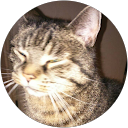 Rebecca Roch profile picture